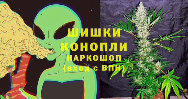 прущие грибы Абаза