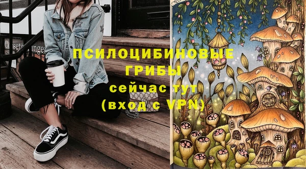 прущие грибы Абаза