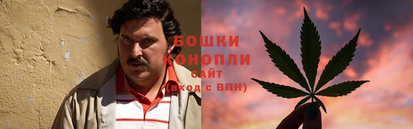 прущие грибы Абаза