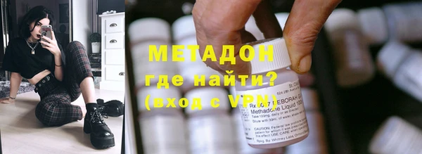 прущие грибы Абаза
